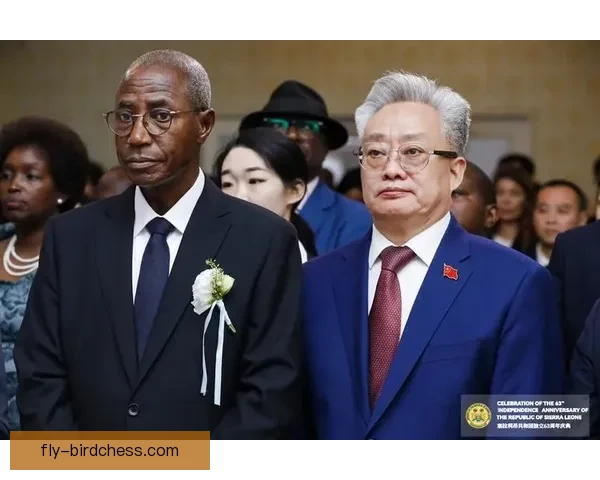 一位塞拉利昂青年的勇气征途与责任担当